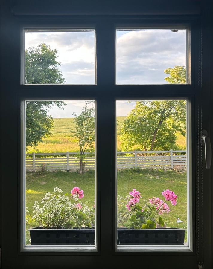 Bed & Breakfast Dom Na Krzewiu Gryfów Śląski