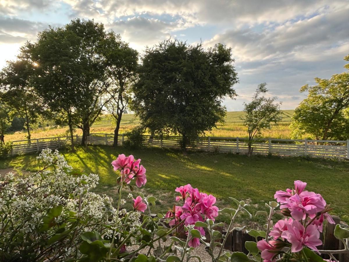 Bed & Breakfast Dom Na Krzewiu *